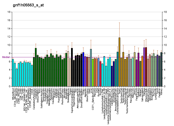 File:PBB GE OR4D5 gnf1h05563 s at fs.png