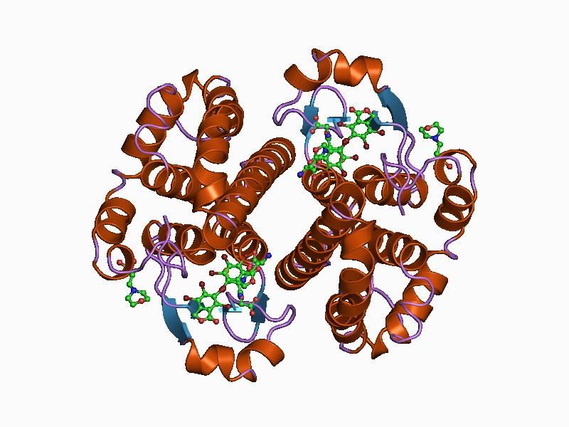 File:PDB 19gs EBI.jpg