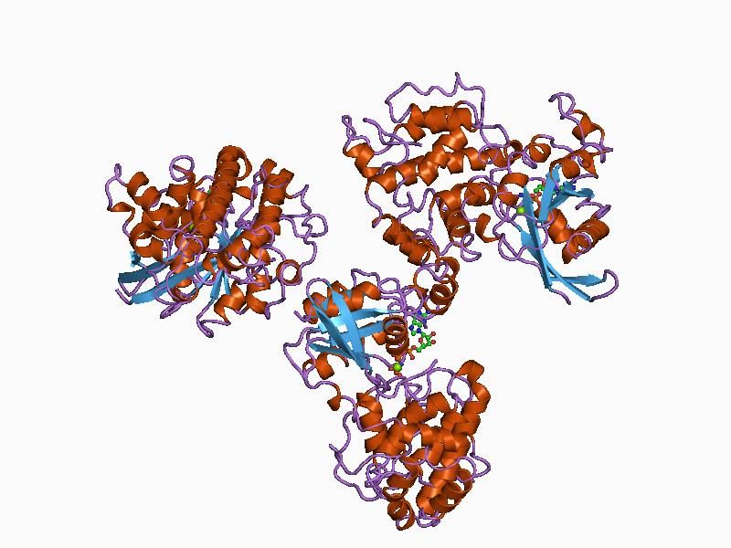 File:PDB 1am4 EBI.jpg