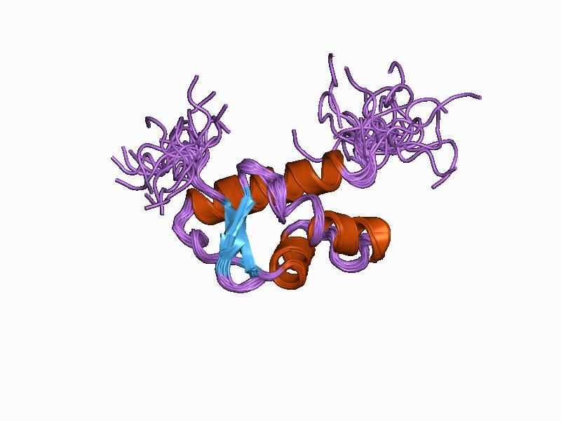 File:PDB 1d8j EBI.jpg