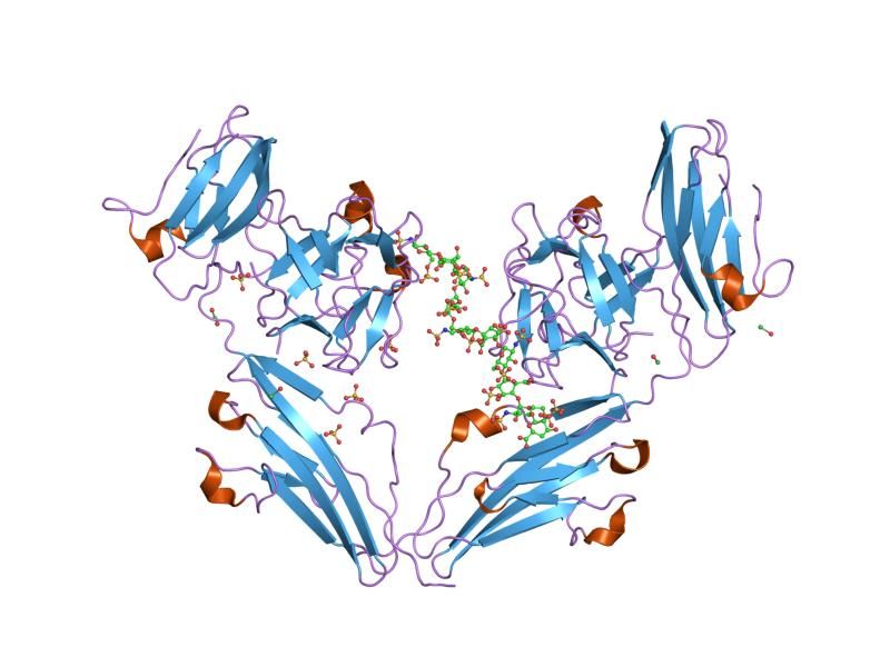 File:PDB 1e0o EBI.jpg