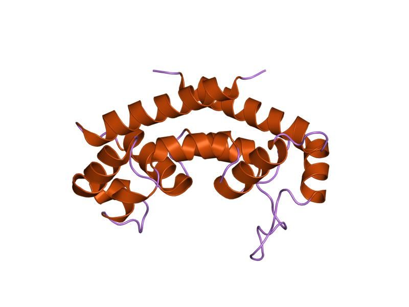 File:PDB 1iv5 EBI.jpg