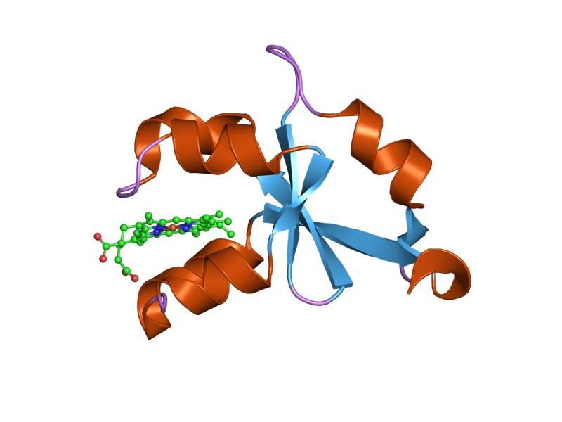 File:PDB 1m2i EBI.jpg