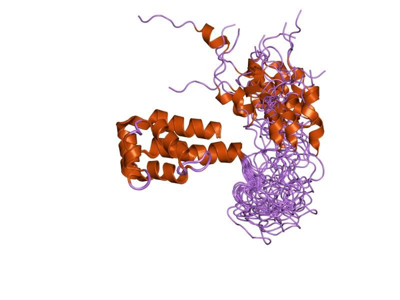 File:PDB 1n3k EBI.jpg