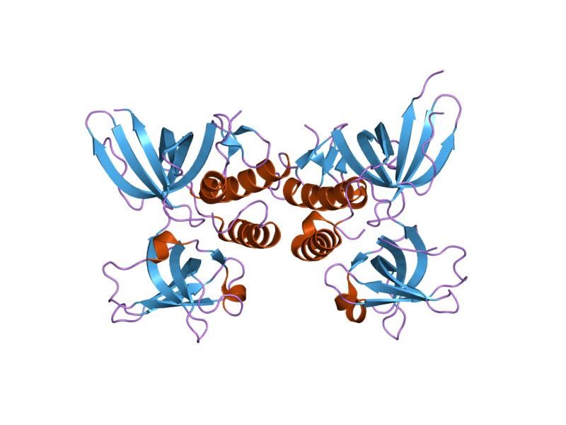 File:PDB 1quq EBI.jpg