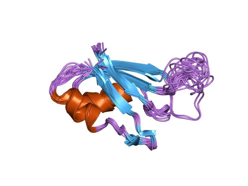 File:PDB 1uaw EBI.jpg