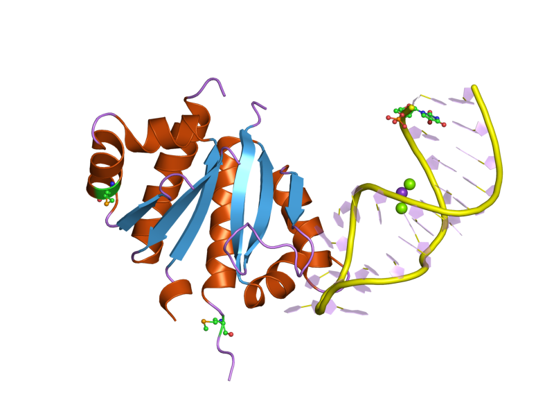 File:PDB 2anr EBI.png