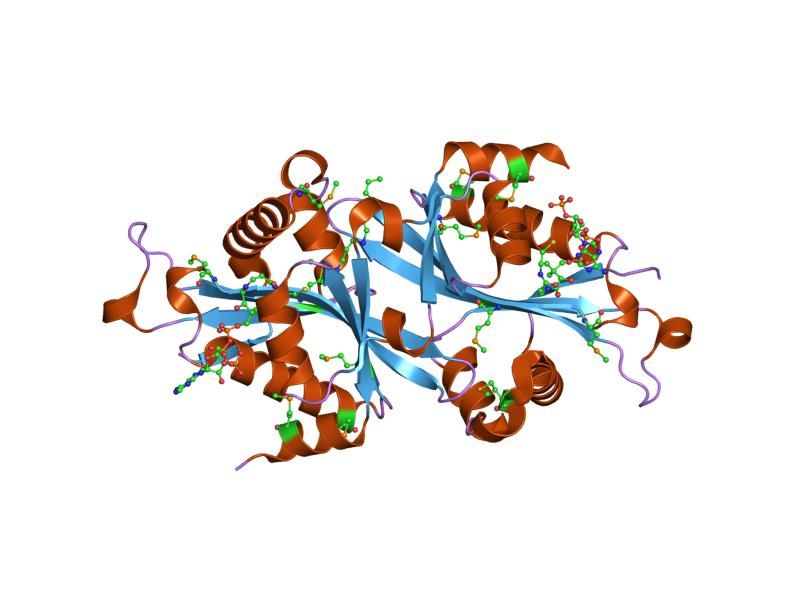 File:PDB 2b4b EBI.jpg