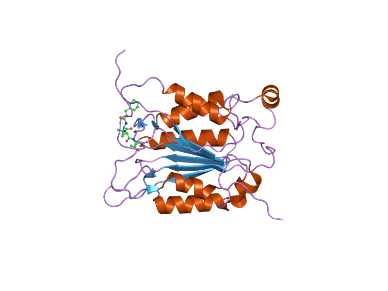 File:PDB 2h48 EBI.png