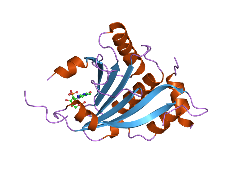 File:PDB 2jgb EBI.png