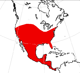 File:Protoceratidae range.png