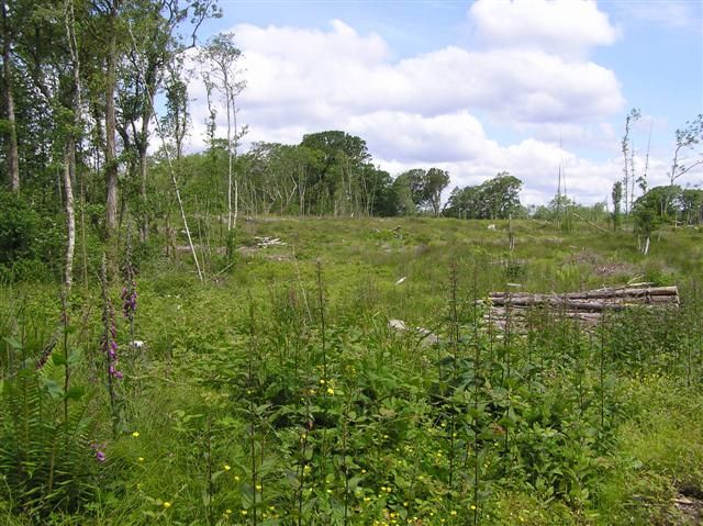 File:Eagle Island - geograph.org.uk - 1344938.jpg