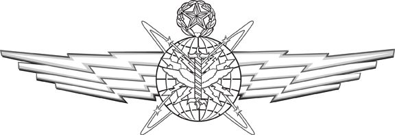 File:Master Cyberspace Operator Badge.jpg