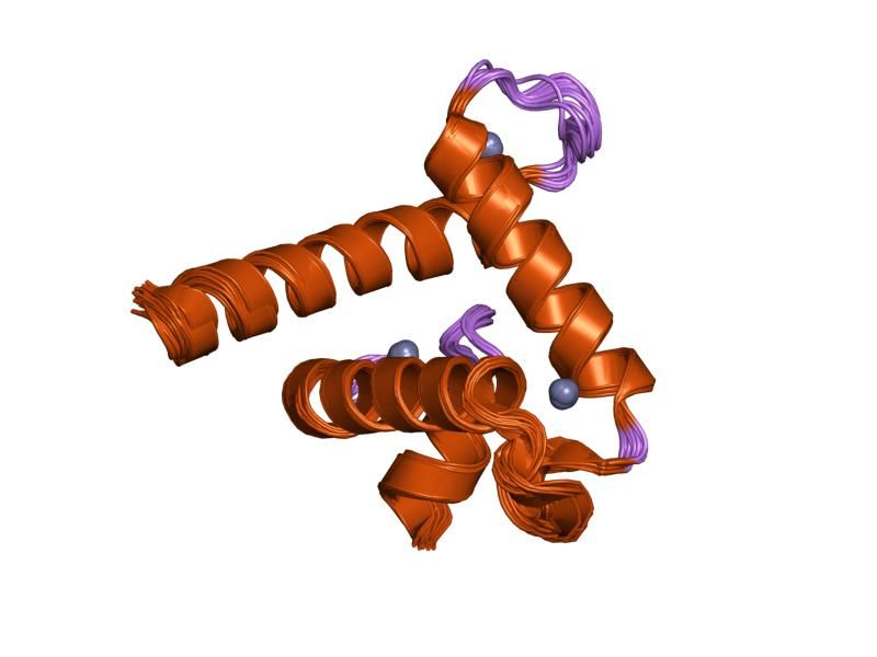 File:PDB 1f81 EBI.jpg