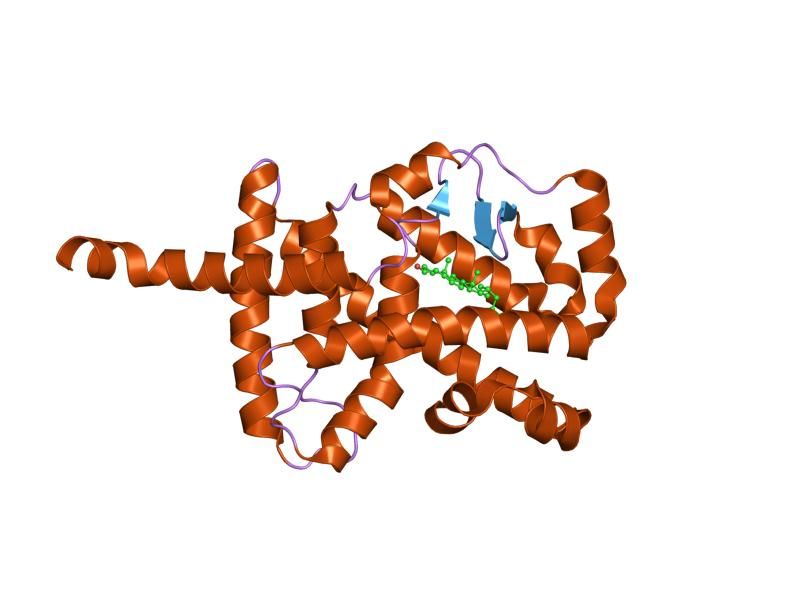 File:PDB 1n83 EBI.jpg