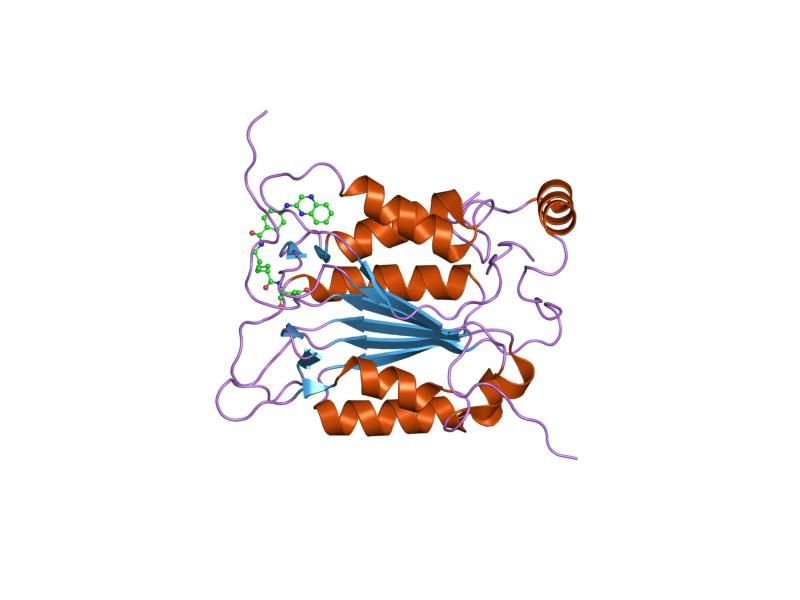 File:PDB 1rwn EBI.jpg