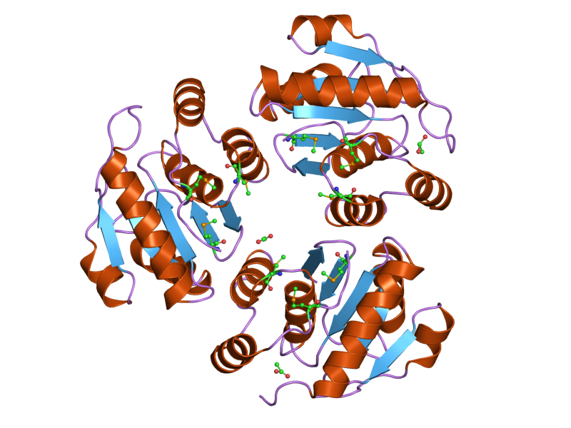 File:PDB 1zck EBI.png