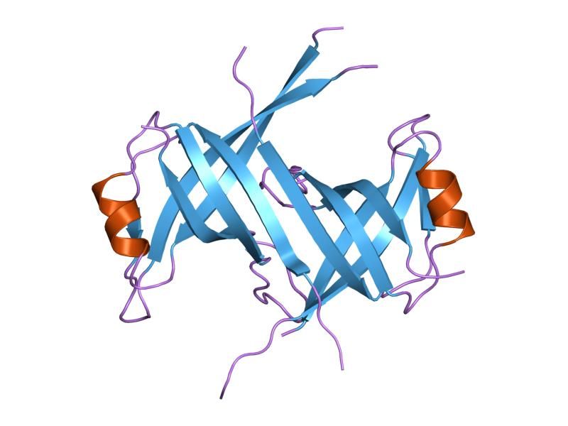 File:PDB 3ull EBI.jpg