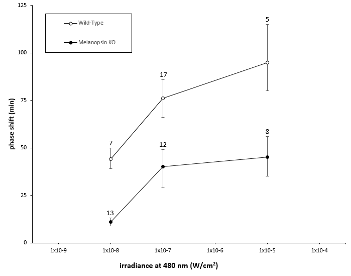 File:Phase shift at different light intensities.PNG