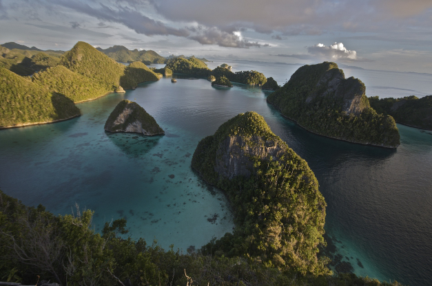 File:Raja Ampat Islands - journal.pbio.1001457.g001.png