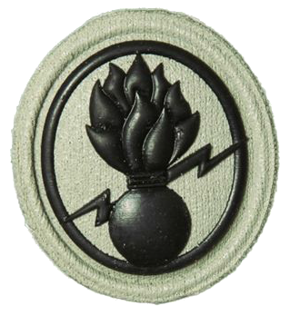 File:SANDF Qualification Demolitions Level One badge embossed.png