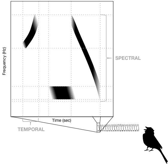 File:Spectral temporal tuning inset.jpg