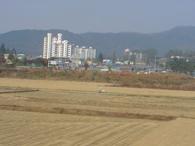 File:Waegwan fields.jpg