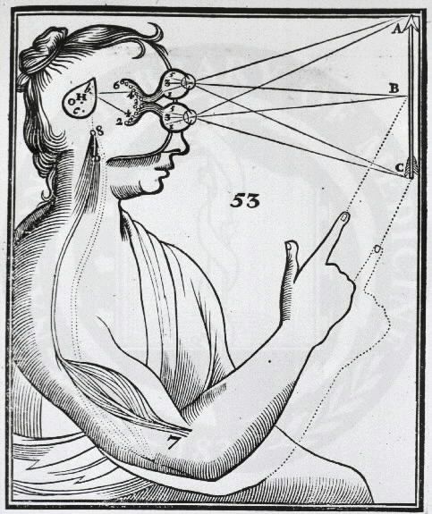 File:Descartes optics.jpg