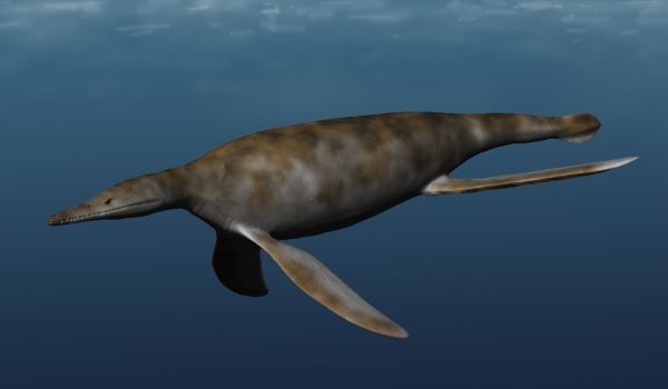 File:Gallardosaurus NT.jpg