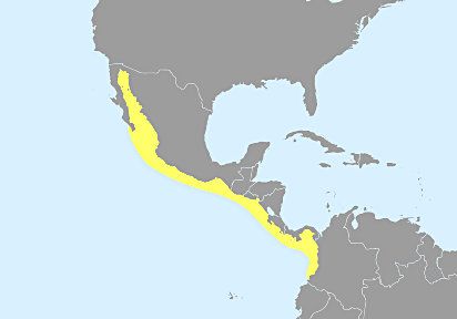 File:Hoplocypode occidentalis distribution range.jpg