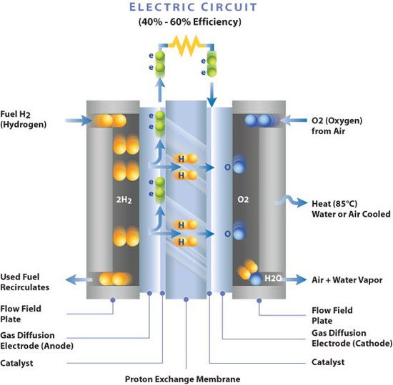 File:Membrane Electrode Assembly - Electro-Chemical Reaction Diagram.jpg