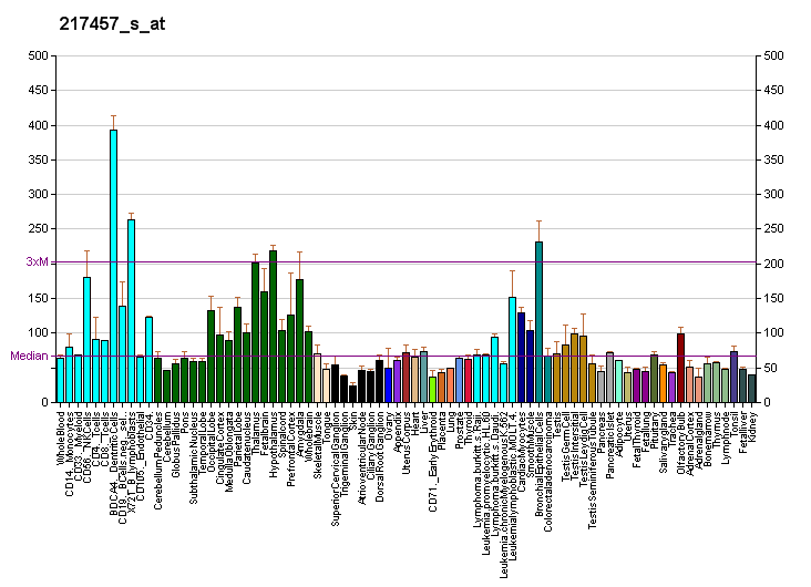 File:PBB GE RAP1GDS1 217457 s at fs.png