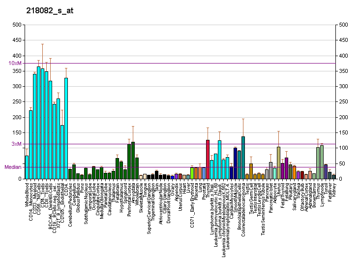 File:PBB GE UBP1 218082 s at fs.png