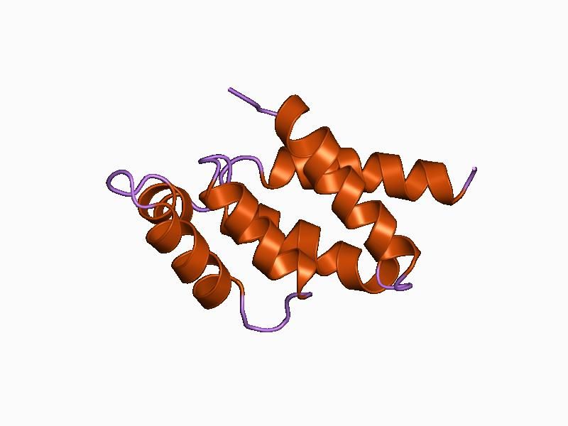 File:PDB 1abv EBI.jpg