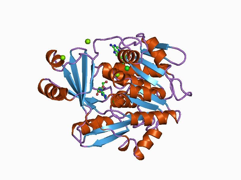 File:PDB 1bx4 EBI.jpg