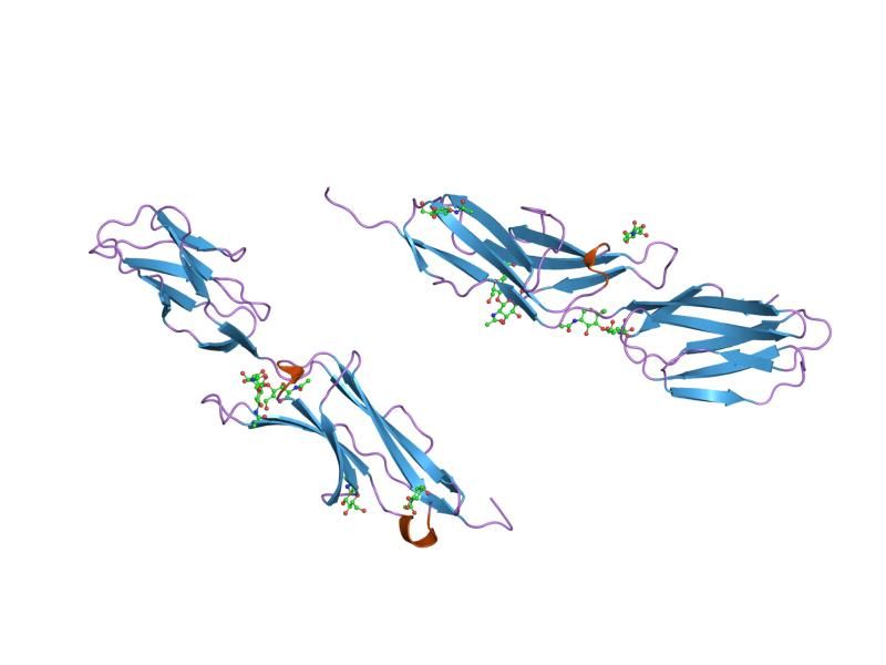 File:PDB 1ic1 EBI.jpg