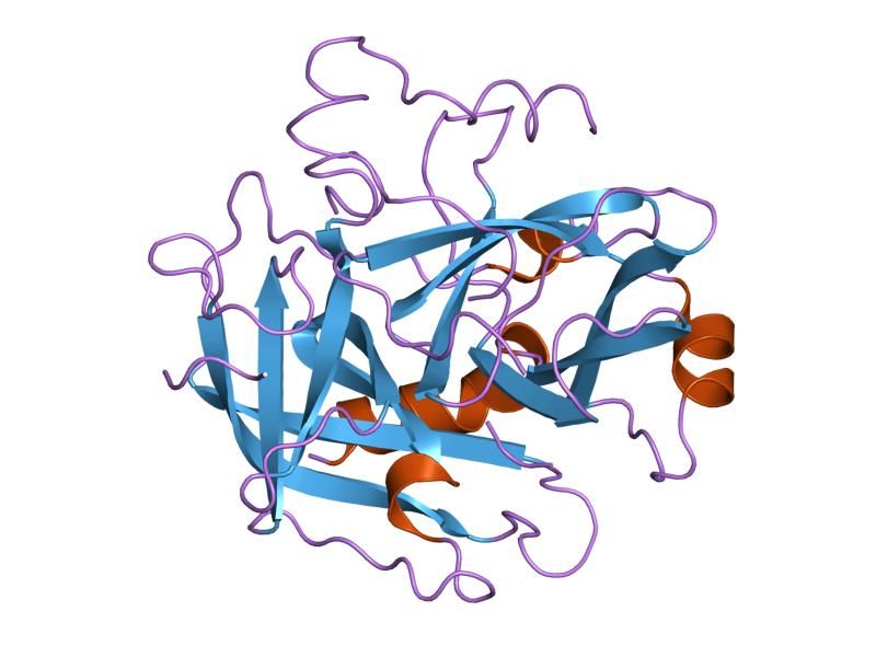 File:PDB 1nrr EBI.jpg