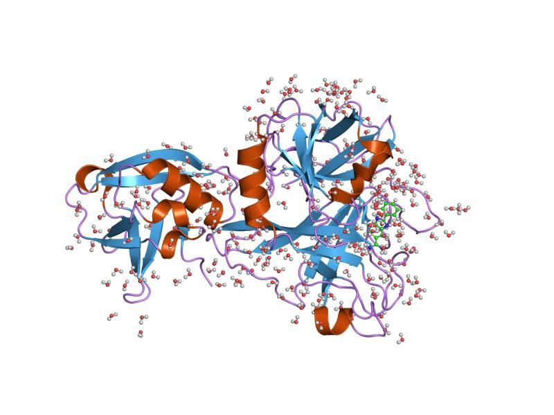 File:PDB 1p57 EBI.jpg