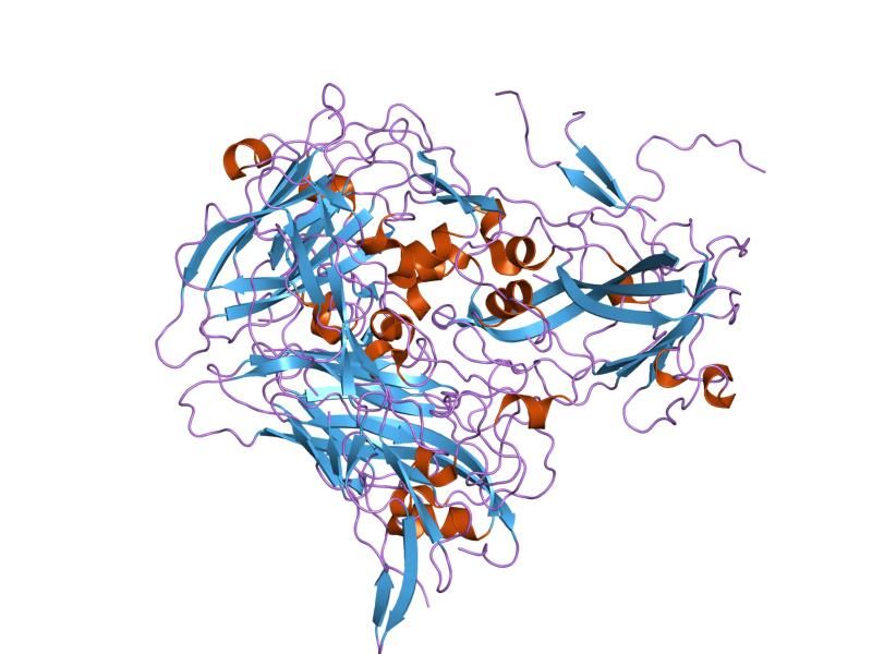 File:PDB 1upn EBI.jpg