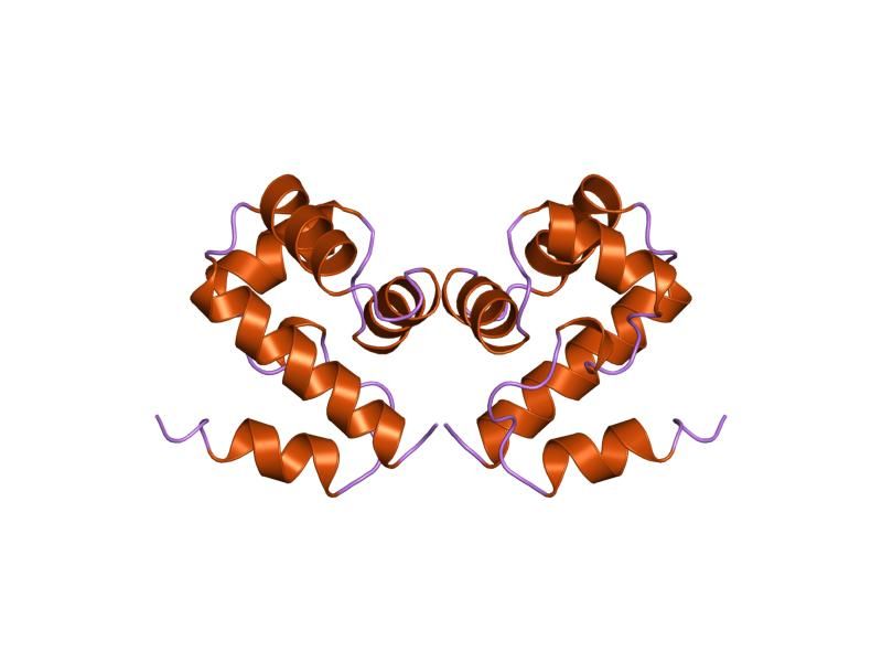 File:PDB 2ezx EBI.jpg