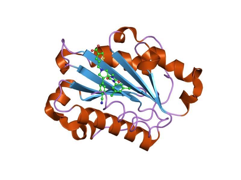 File:PDB 2ica EBI.jpg