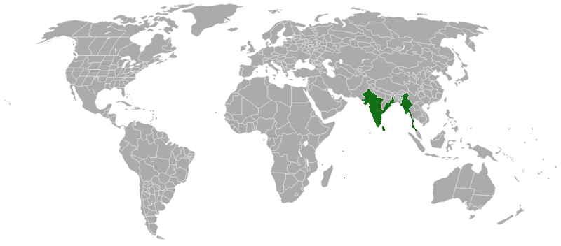 File:Acacia-chundra-range-map.png