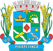 File:Brasão de Pirapetinga.png