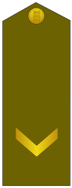 File:ES-Army-OR8b.png