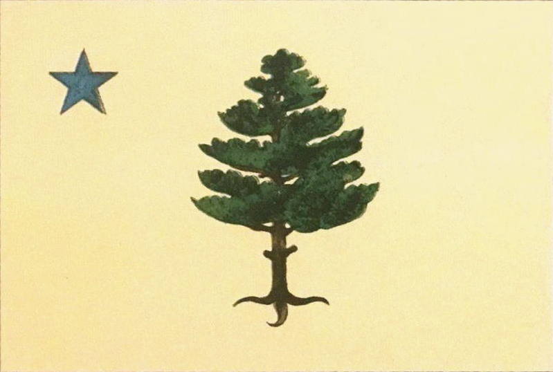 File:Flag of the State of Maine (1901–1909).png