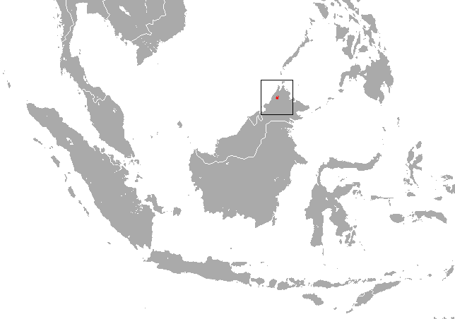 File:Kinabalu Shrew area.png