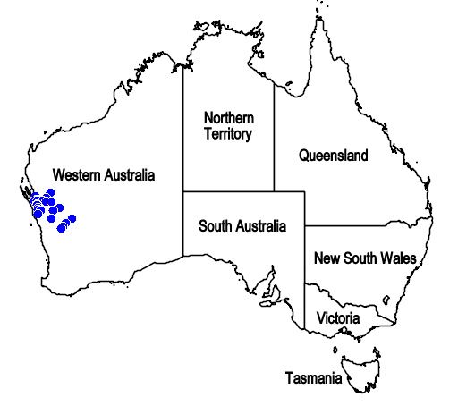 File:Map.Dicrastylis linearifolia.jpg