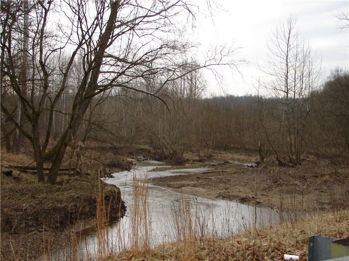 File:Offield creek.jpg