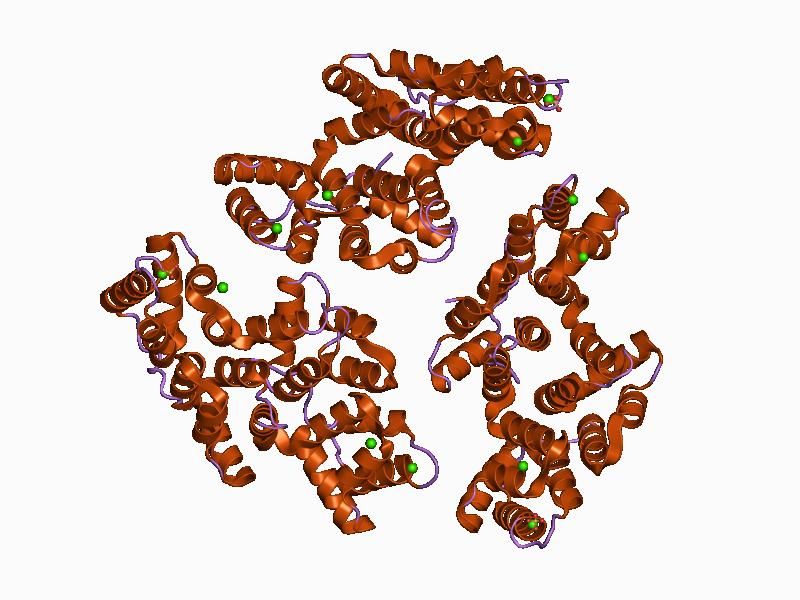 File:PDB 1anx EBI.jpg