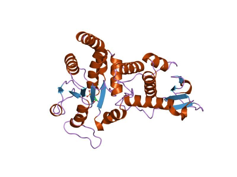 File:PDB 1ohe EBI.jpg